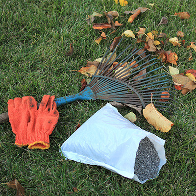 Rasen-duengen-Herbst-Herbstrasenduenger